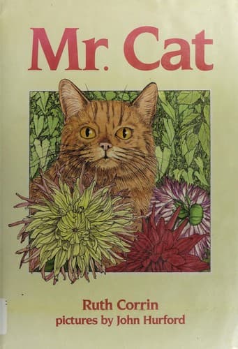 Cover of Mr. Cat