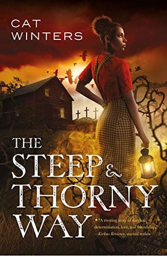 Cover of The steep & thorny way
