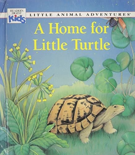 Cover of A home for Little Turtle