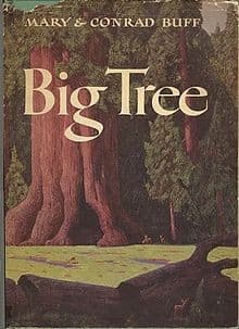 Cover of Big tree
