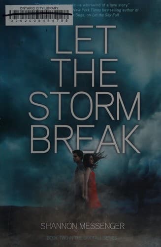 Cover of Let the Storm Break