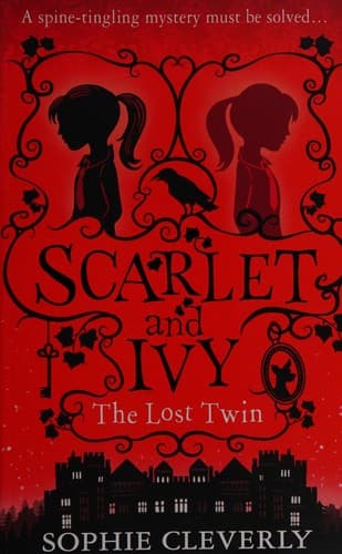 Cover of The lost twin