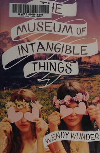 Cover of The museum of intangible things