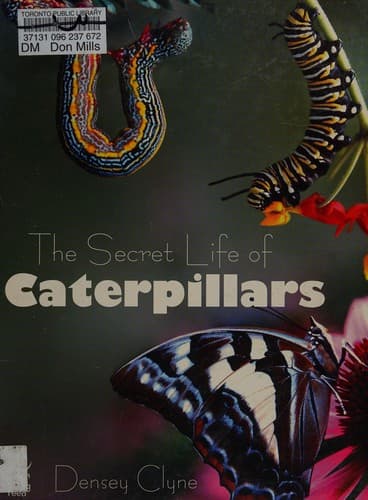 Cover of Secret Life of Caterpillars