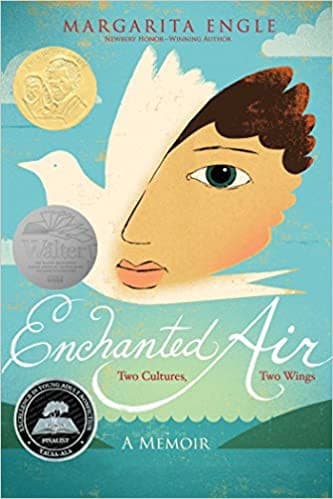 Cover of Enchanted Air : Two Cultures, Two Wings