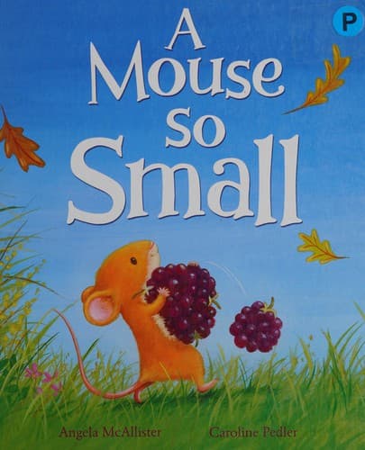 Cover of A mouse so small