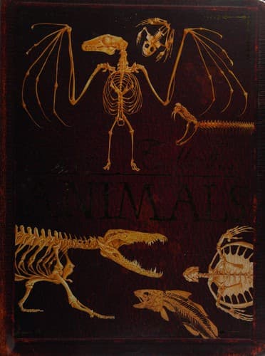 Cover of Bone collection