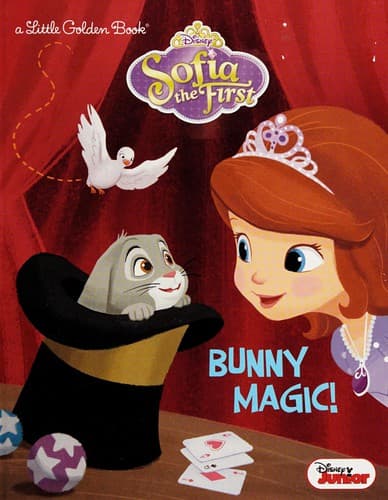 Cover of Bunny magic!