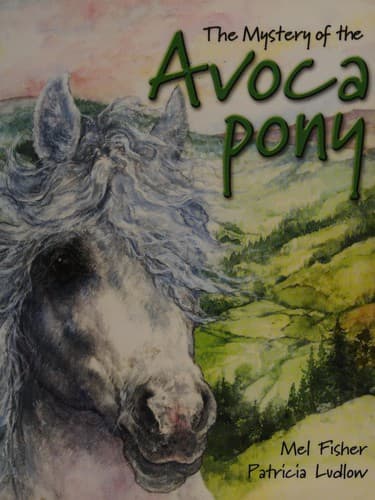 Cover of Mystery of the Avoca pony