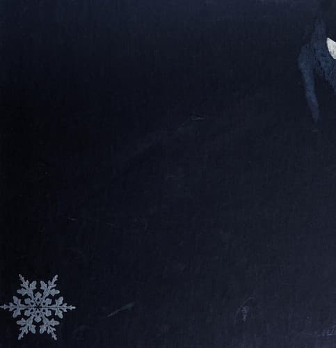 Cover of Snowpeople