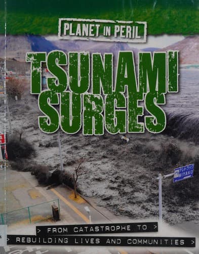Cover of Tsunami Surges
