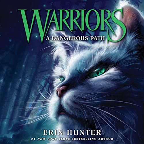 Cover of A Dangerous Path