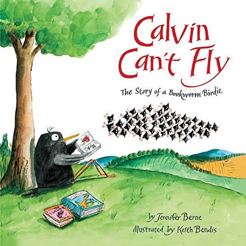 Cover of Calvin can't fly