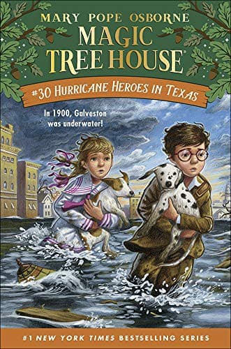 Cover of Hurricane heroes in Texas