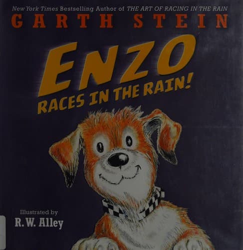 Cover of Enzo Races in the Rain!