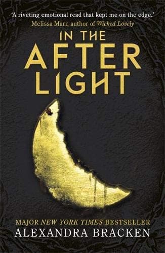 Cover of In The Afterlight
