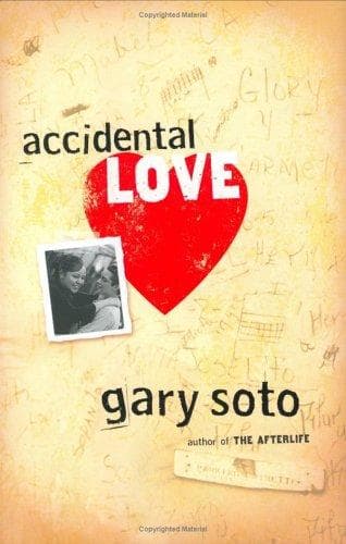 Cover of Accidental love