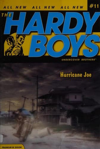 Cover of Hurricane Joe
