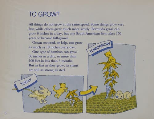 Cover of How long?