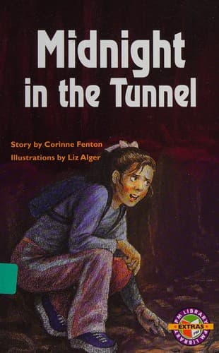 Cover of Midnight in the tunnel