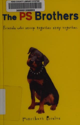 Cover of The P. S. brothers