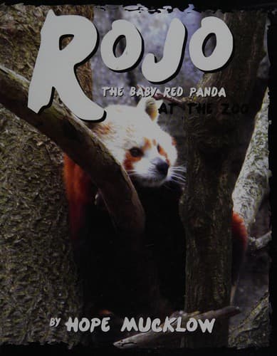 Cover of Rojo the baby red panda at the zoo