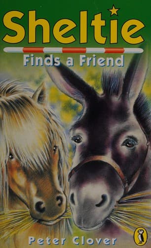 Cover of Sheltie finds a friend