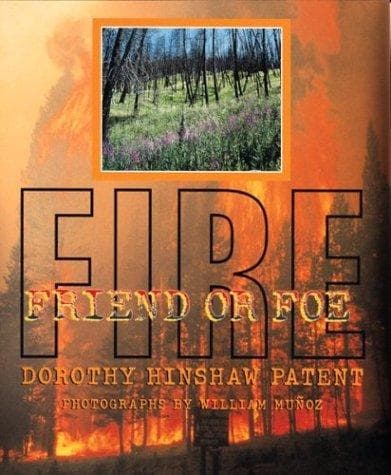 Cover of Fire