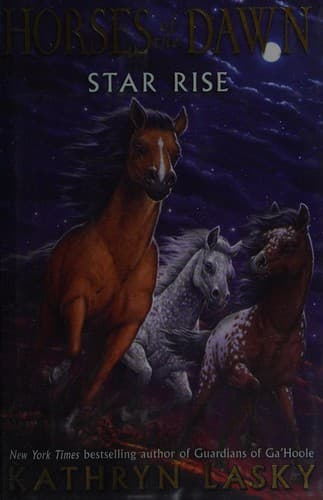 Cover of Star rise