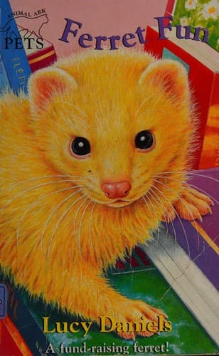 Cover of Ferret fun