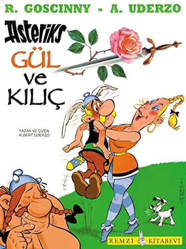 Cover of La Rose et le Glaive