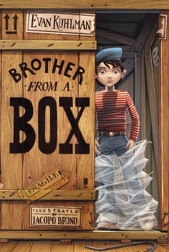Cover of Brother in a box