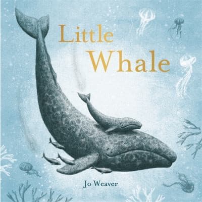 Cover of Little Whale