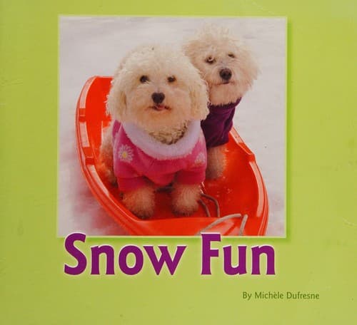 Cover of Snow fun