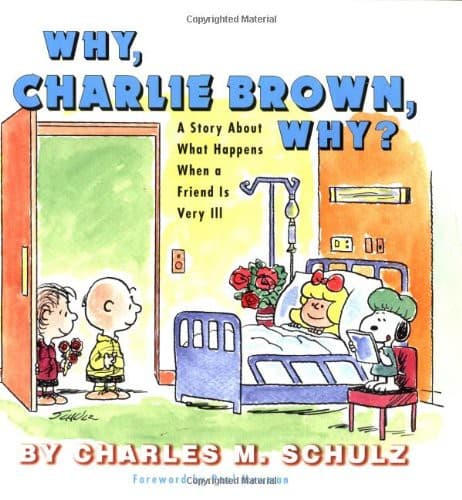 Cover of Why, Charlie Brown, Why?