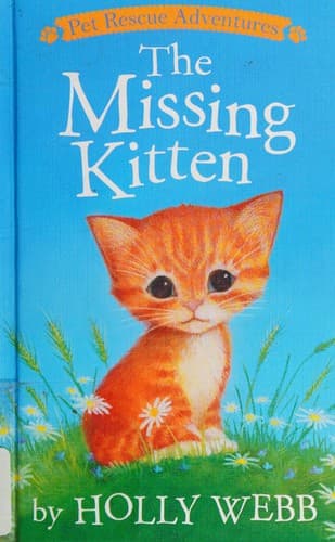 Cover of The missing kitten