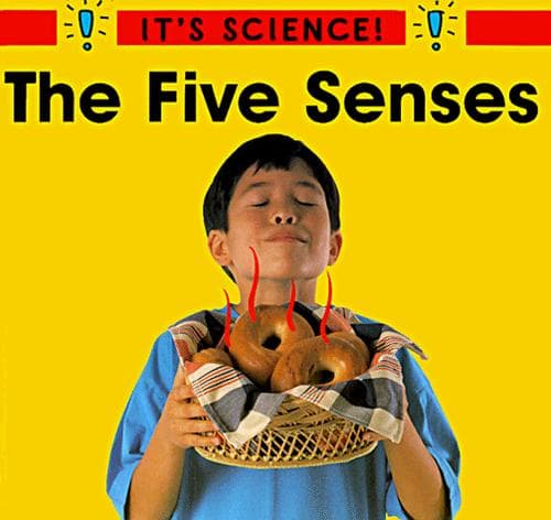 Cover of The five senses