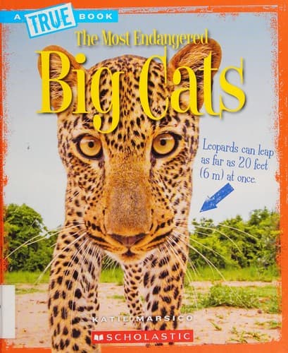 Cover of Big Cats