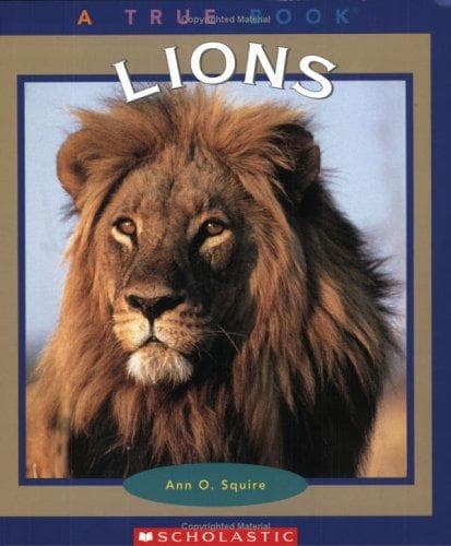Cover of Lions