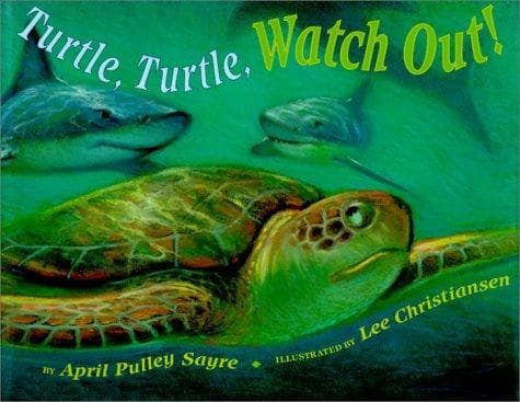 Cover of Turtle, turtle, watch out!