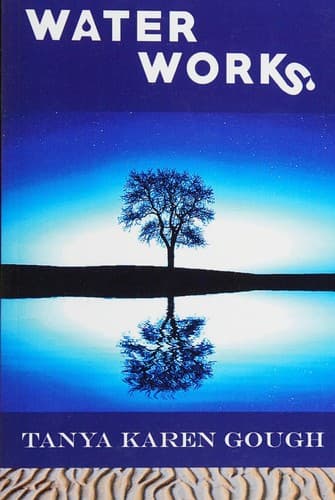 Cover of Water works