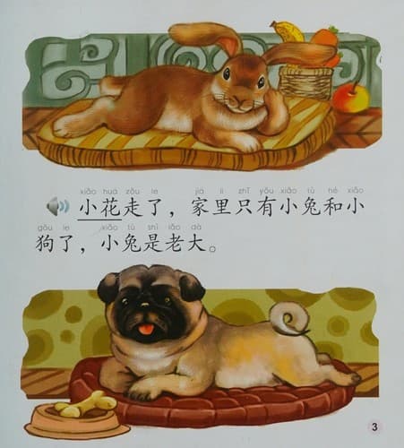 Cover of Xiao tu he xiao gou