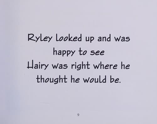Cover of Ryley and Hairy become friends