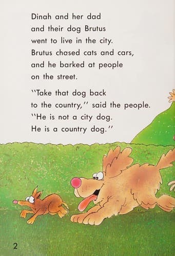 Cover of Brutus