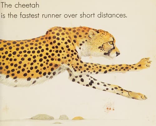 Cover of Animal Runners