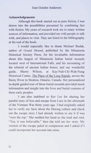 Cover of The Shaman Stone