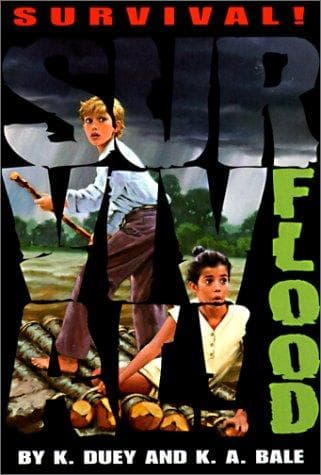 Cover of Flood