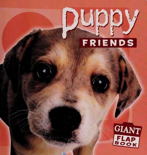Cover of Puppy friends
