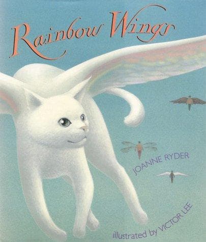 Cover of Rainbow wings