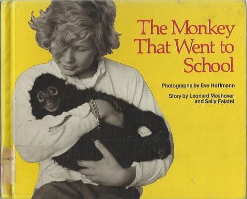 Cover of The monkey that went to school
